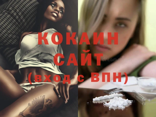 гашик Болохово
