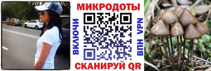 omg зеркало  Семёнов  Галлюциногенные грибы Psilocybine cubensis  что такое наркотик 
